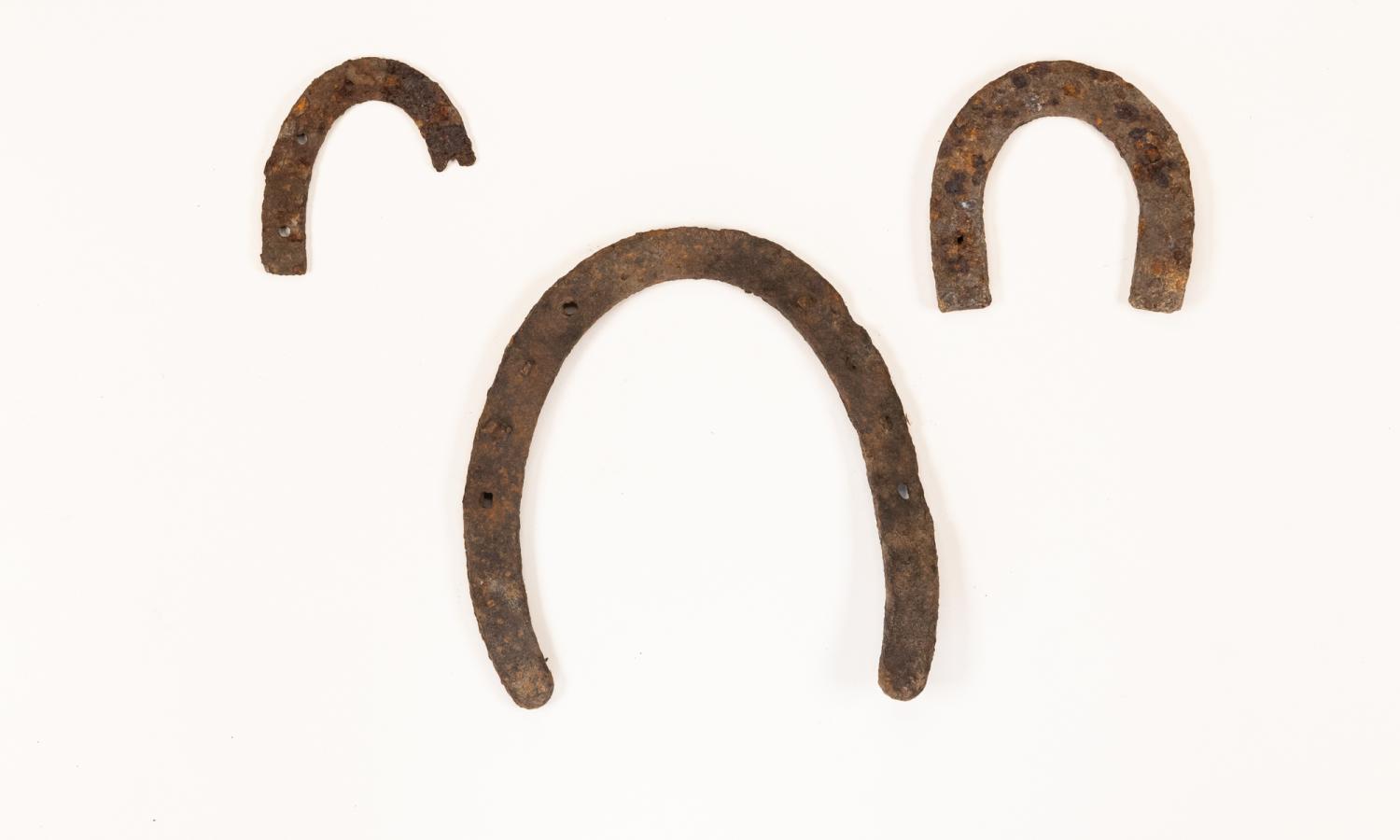 Horseshoes